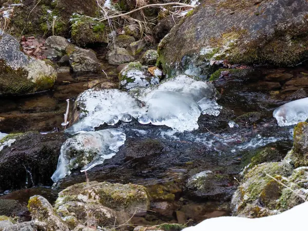 Dağ akıntısında akan suyla yosun kaplı kayalar üzerinde kristal buz oluşumları