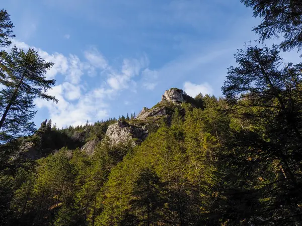 Çarpıcı Dağ Sırtı Dramatik Kaya oluşumları Yemyeşil Orman tepe örtüsünün üzerinde yükseliyor Bahar Güneşi altında