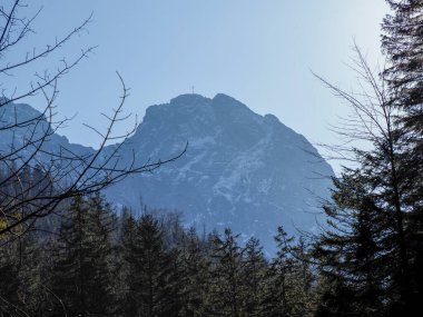 Görkemli Dağ Zirvesi Alp Ormanı 'ndaki Çıplak Kış Ağaçları Arasında