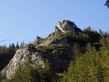 Alp Ormanı 'nın Üzerinde Yükselen Çapraz Anıt Taşı Oluşturma