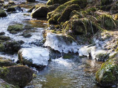 Kış mevsiminde Mountain Creek 'teki yosunlu kayalarda donmuş buz oluşumları