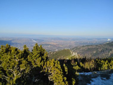 Açık Kış Gününde, Vadi ve Şehrin Panoramik Vista 'sı Çam ağaçlarının arasından Dağ Zirvesi