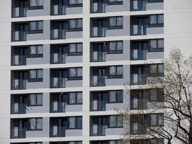 Baharın başlarında Mavi Gökyüzü ve Ağaca Karşı Üniforma Cephesi ve Balkonlu Modern Konut Binası