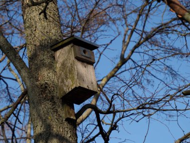 Sarı ve Mavi Dış Gösterişli Büyük IKEA Perakende Mağazası Odbir to waru Müşteri Toplama Bölgesi