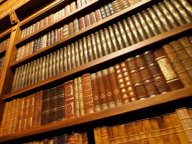 Geleneksel Ahşap Kütüphane raflarında sıralanmış altın işlemeli dikenli antik deri kaplı kitapların çapraz görünümü