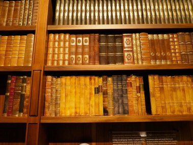 Ahşap Kütüphane raflarında altın işlemeli dikenli dikenli antika deri kaplı kitap koleksiyonunun yakın görüntüsü