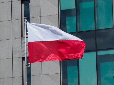 Polonya Ulusal Bayrağı Güneşli Gün 'de Çağdaş Cam Binasına Karşı Rüzgarda Dalgalanıyor