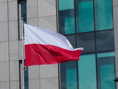 Polonya Bayrağı Modern Cam Ofis Arkaplanına Karşı Şiddetli Rüzgarda Çarpıcı Dalgalanıyor