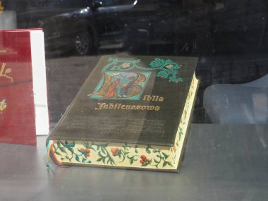 Altın işlemeli Kapaklı Süslü Yeşil Kitap Camın Arkasında Görüntülendi