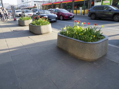 Beton Fabrikaları ile Şehir Sokakları Canlı Bahar Laleleriyle Dolu Park Alanına Yakın