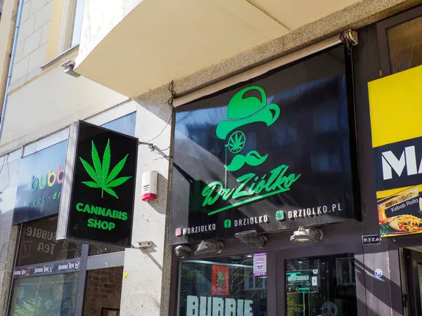 Modern Şehir Binası Önünde Yeşil İşaretli ve Ayırt Edici Yaprak Logosuna sahip Kentsel Esrar Dükkanı