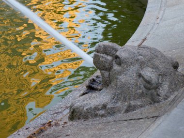 Parıldayan Altın Su Yansımaları ile Çeşme 'deki Taş Aslan Heykeli' nin yakın çekimi