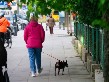Pembe Ceketli Kadın Arka planda Renkli Çocuk Bahçeli Şehir Kaldırımında Küçük Köpeği Yürütüyor