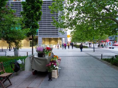 Şehir merkezinde yeşil ağaçlar ve banklarla modern Şehir Pedestrian Plaza 'sı