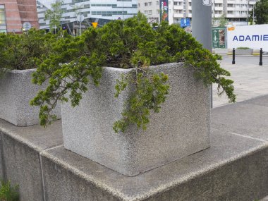 Şehir Meydanı 'nda Küçük Yeşil Ağacı olan Modern Beton Fabrikası