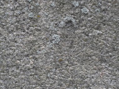 Doğal Granit Taş Yüzeyi, Karmaşık Gri ve Benekli Doku Yakın plan Detaylı