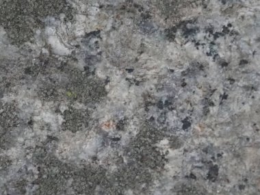 Yosun ve Lichen Büyümesiyle Yıpranmış Beton Yüzey Doğal Yaşlanma Şablonu Oluşturuyor