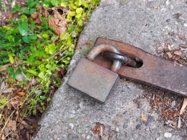 Yeşil sarmaşıklarla çevrili betona gömülü eski paslı metal su vanası.