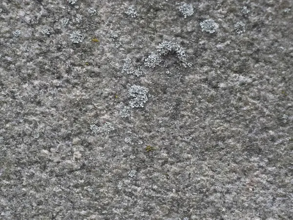 Doğal Granit Taş Yüzeyi, Karmaşık Gri ve Benekli Doku Yakın plan Detaylı
