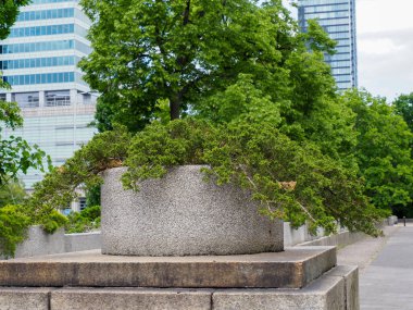 Beton modernisti, kentsel peyzaj ve yeşillik entegrasyonunun yanı sıra bitki örtüsü ile duvar yapısını koruyor