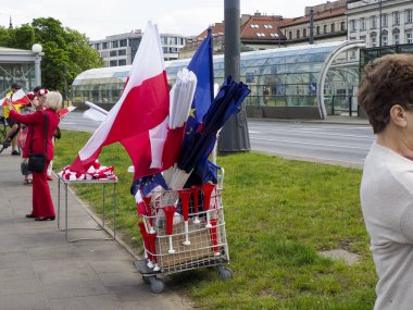 Varşova 'da Vatanseverlik Anma Töreni sırasında Polonya bayrağı yanında duran kişi