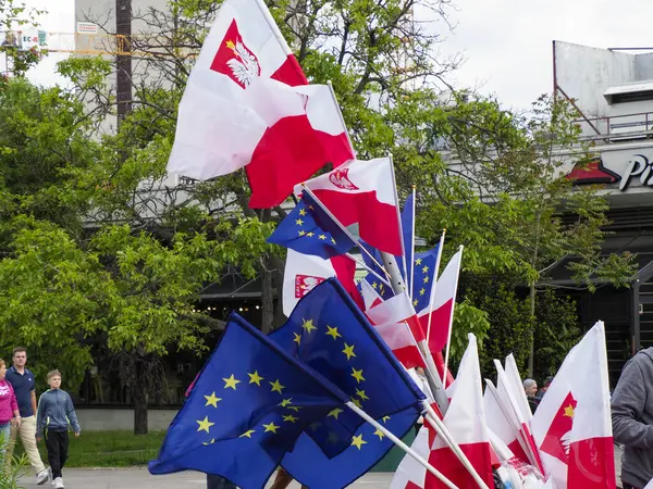Varşova 'daki siyasi gösteriler sırasında birden fazla Polonya ve Avrupa Birliği bayraklarının yakın plan görüntüsü