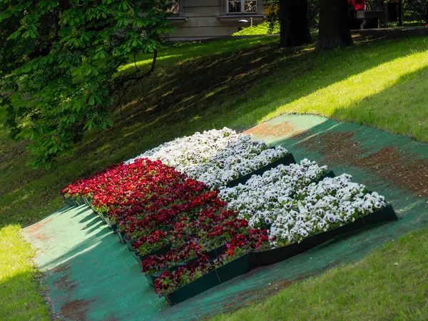 Renkli çiçek bahçesi, eğimli yeşil yamaçta canlı geometrik desenler oluşturuyor.