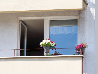 Renkli çiçek kutuları beyaz daire dekorasyonu balkon penceresi büyüleyici konut manzarası yaratıyor