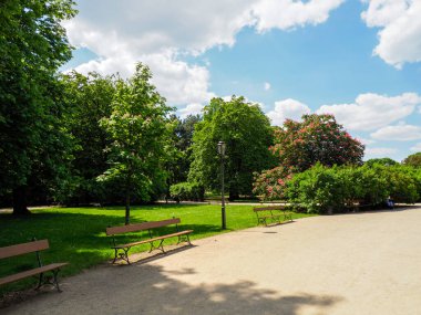 Zarif barok saray bahçesi. Manikürlü çimenler ve ağaçlarla kaplı yollar. Mavi gökyüzünün altında.