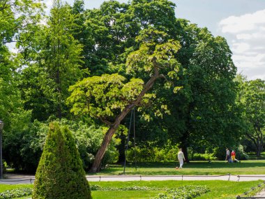Huzurlu bir sabah yürüyüşü ile tarihi saray bahçelerinde doğa ziyaretçileri