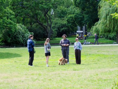 Güneşli bir günde yeşil bir parkta köpekle yürüyen bir grup insan.