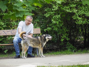 Beyaz tişörtlü orta yaşlı bir adam parkta bankta otururken arkadaş canlısı bir köpeği okşuyor.