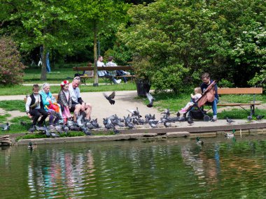 Rekabetçi kürek ekibi sakin su yollarında çalışırken mükemmel bir senkronizasyon sürdürüyor.