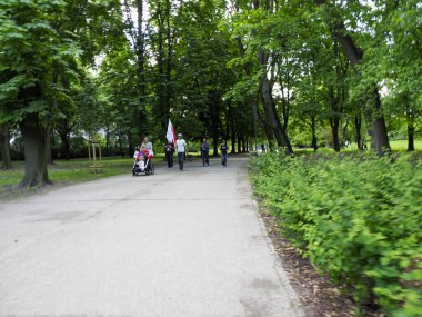 Huzurlu ağaç, güneşli bir günde yeşil yaz manzarasında gezinen ziyaretçilerle dolu park yolu.