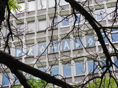 Çağdaş apartmanlara karşı siluetli çıplak ağaç dalları soyut kentsel doğa kompozisyonu oluşturuyor