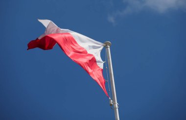 Kırmızı ve beyaz çizgili Polonya ulusal bayrağı mavi gökyüzüne gururla el sallıyor