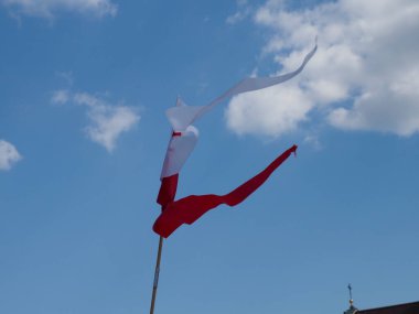 Rüzgarda dalgalanan dinamik Polonya bayrağı açık mavi gökyüzüne karşı güçlü bir vatanseverlik sembolü oluşturuyor.