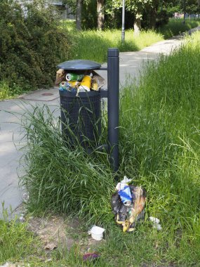 Sarı acil durum çağrısı kulübesi yemyeşil bitki örtüsünün yanında duruyor sessiz banliyö yolu boyunca