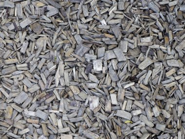 Kurumuş ayçiçeği tohumlarının dağılmış bir koleksiyonu tarafsız arkaplan yüzeyinde doğal organik doku kalıbı oluşturuyor.