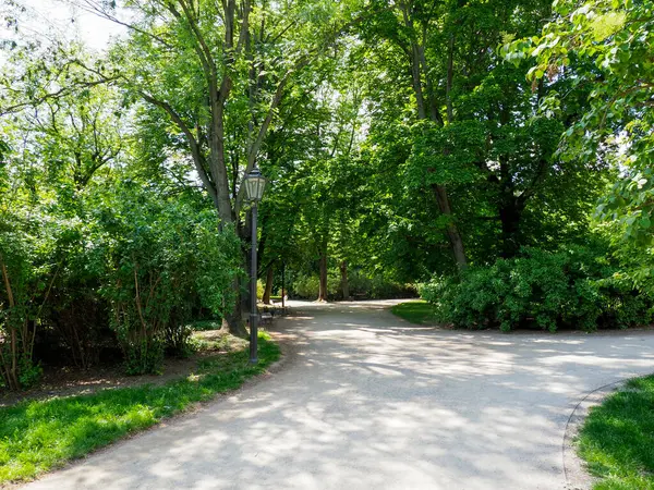 Yeşil şehir parkında ağaçlarla kaplı huzurlu yürüyüş yolu yaprakların arasından süzülen benekli güneş ışığıyla