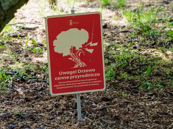 Ağaçların korunması ile ilgili kırmızı uyarı işareti kayalık arazili doğal orman ortamında