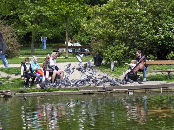Kürek takımı antrenman sırasında sakin nehir suyu üzerinde senkronize hareketler yapıyor.