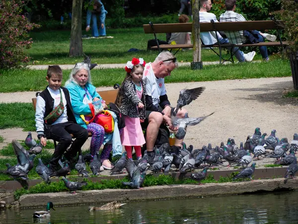 Yeşil şehir parkındaki huzurlu gölette güvercinleri birlikte besleyen çok nesilli bir aile.