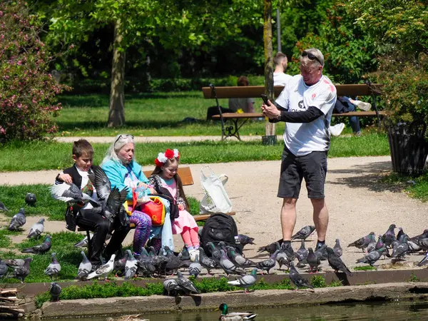 Çocukların barışçıl park ortamında sayısız güvercini beslediği aile sahnesi.