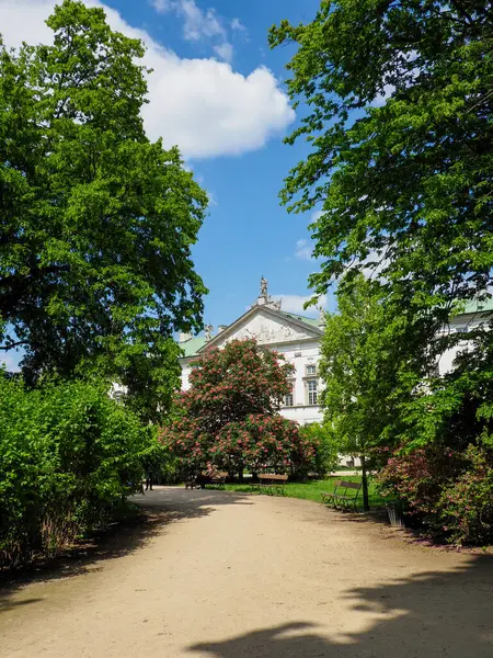 Arka planda klasik bina görünen huzurlu parktan geçen ağaçlık patika.