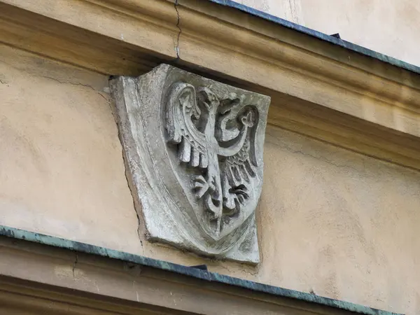 Tarihi Polonya binasında taşa oyulmuş süslemeli kraliyet kartalının ayrıntılı görüntüsü