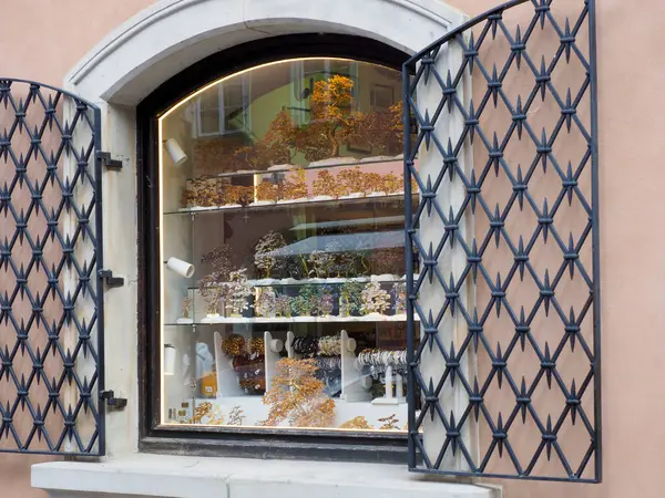 Yerel mal ve el sanatlarını gösteren dekoratif metal ızgaralı geleneksel Avrupa mağaza penceresi