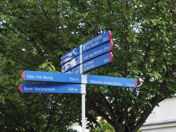 Mavi yönlü sokak işaretleri, yeşil yeşillik arka planında Polonya 'nın varış noktalarını gösteriyor.