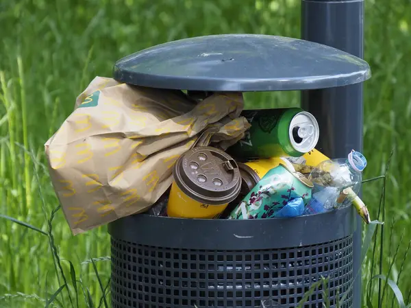 Çöp torbası ve çöplerle dolup taşan kamu atığı kentsel çevre kirliliği sorunu yaratıyor