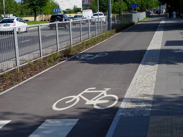 Üzerinde beyaz bisiklet sembolü olan özel bisiklet yolu asfalt yolda koruyucu metal bariyerin yanında.